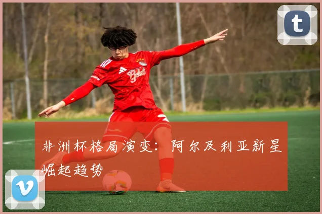 非洲杯格局演变：阿尔及利亚新星崛起趋势