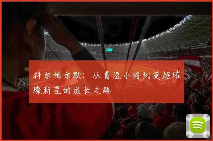 科尔帕尔默：从青涩小将到英超璀璨新星的成长之路