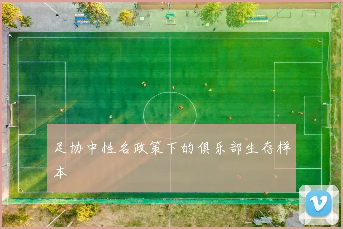足协中性名政策下的俱乐部生存样本