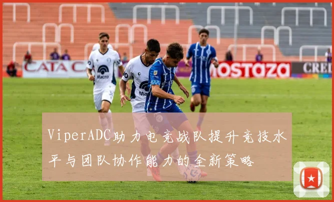 ViperADC助力电竞战队提升竞技水平与团队协作能力的全新策略