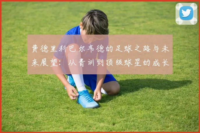 费德里科巴尔韦德的足球之路与未来展望：从青训到顶级球星的成长历程