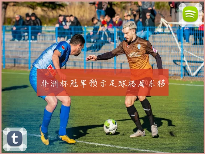 非洲杯冠军预示足球格局东移