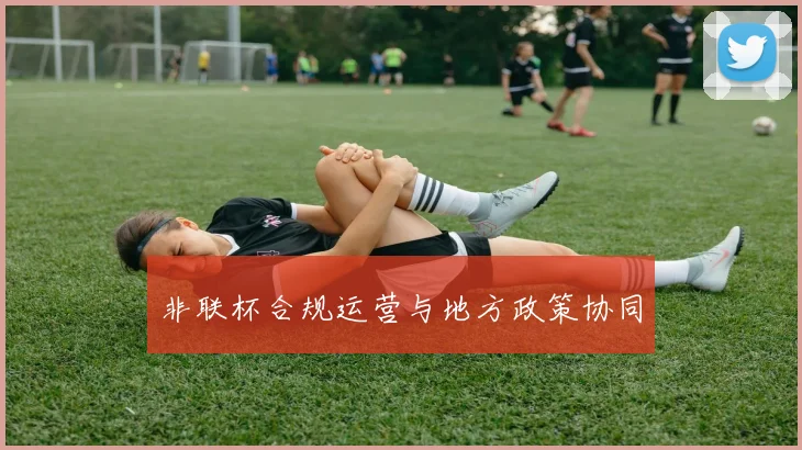 非联杯合规运营与地方政策协同