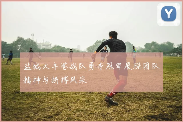 盐城大丰港战队勇夺冠军展现团队精神与拼搏风采