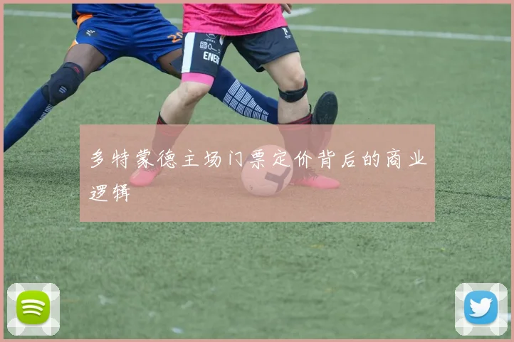 多特蒙德主场门票定价背后的商业逻辑